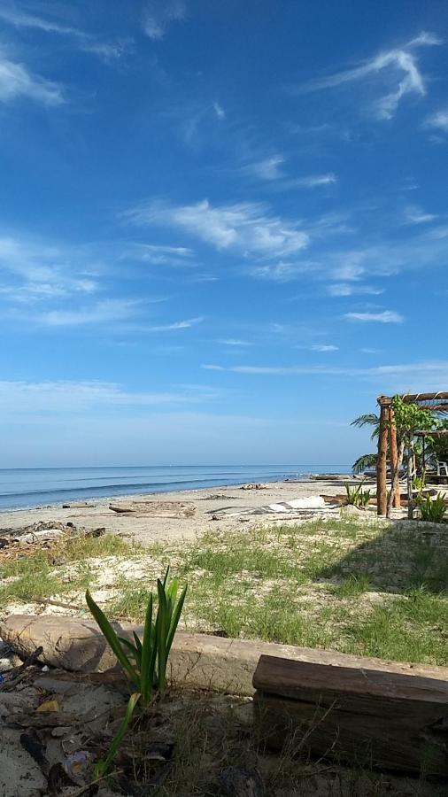 Urantia Beach Hostel & Camping San Onofre Exteriér fotografie