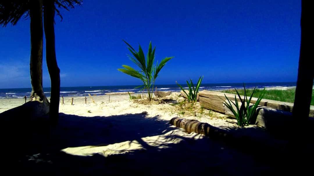 Urantia Beach Hostel & Camping San Onofre Exteriér fotografie